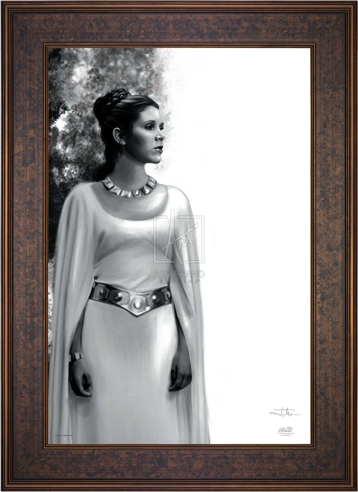 The Daughter - Star Wars: A New Hope™ - Limited Edition Canvas