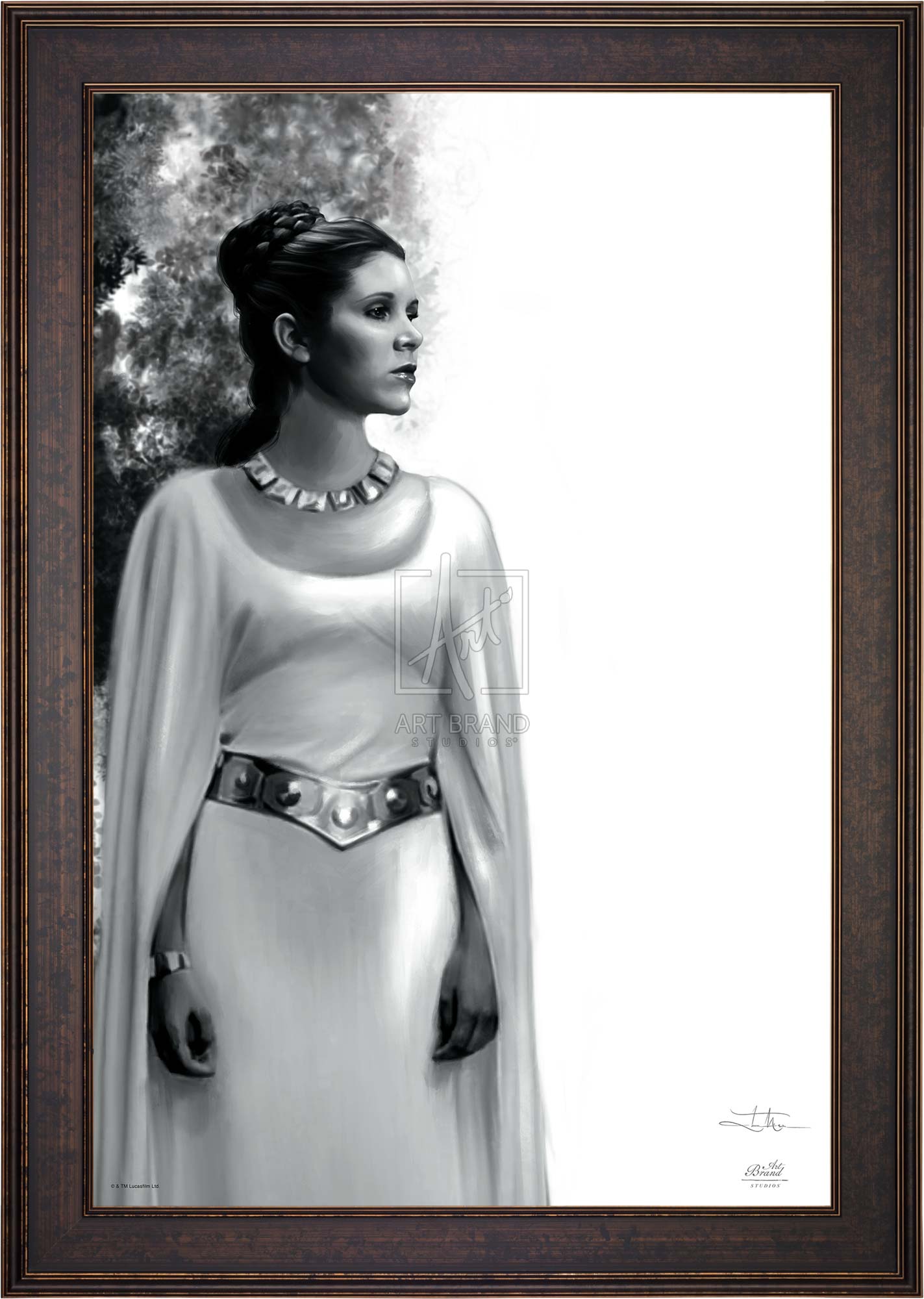 The Daughter - Star Wars: A New Hope™ - Limited Edition Canvas