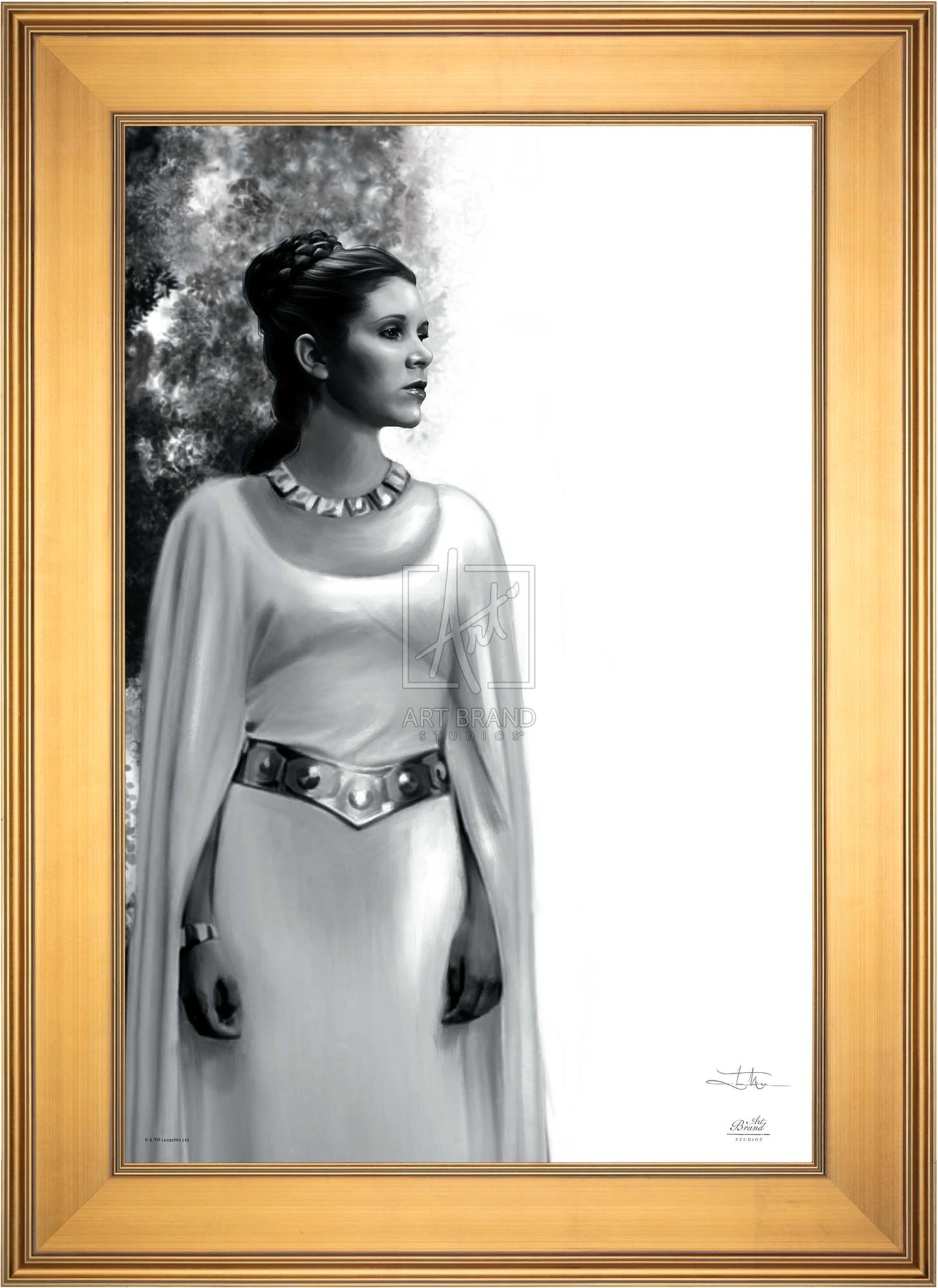 The Daughter - Star Wars: A New Hope™ - Limited Edition Canvas