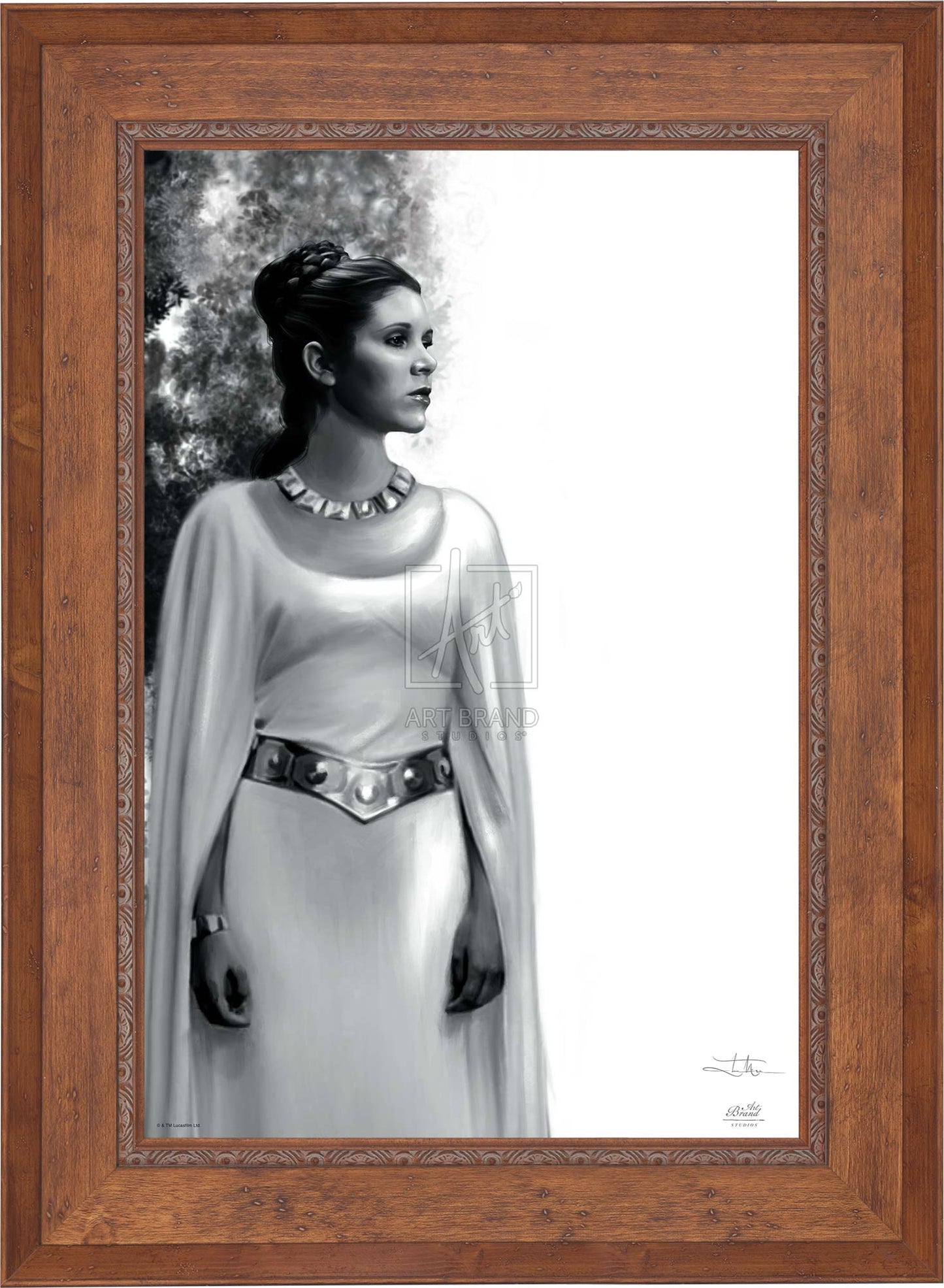 The Daughter - Star Wars: A New Hope™ - Jewel Edition