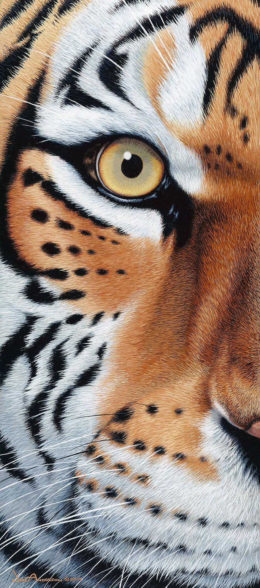 too-close-tiger-art-collection-1028689073IG.jpg