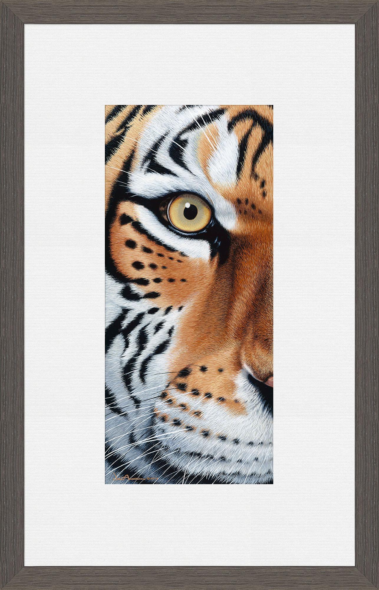 too-close-tiger-framed-print-F028689073C.jpg
