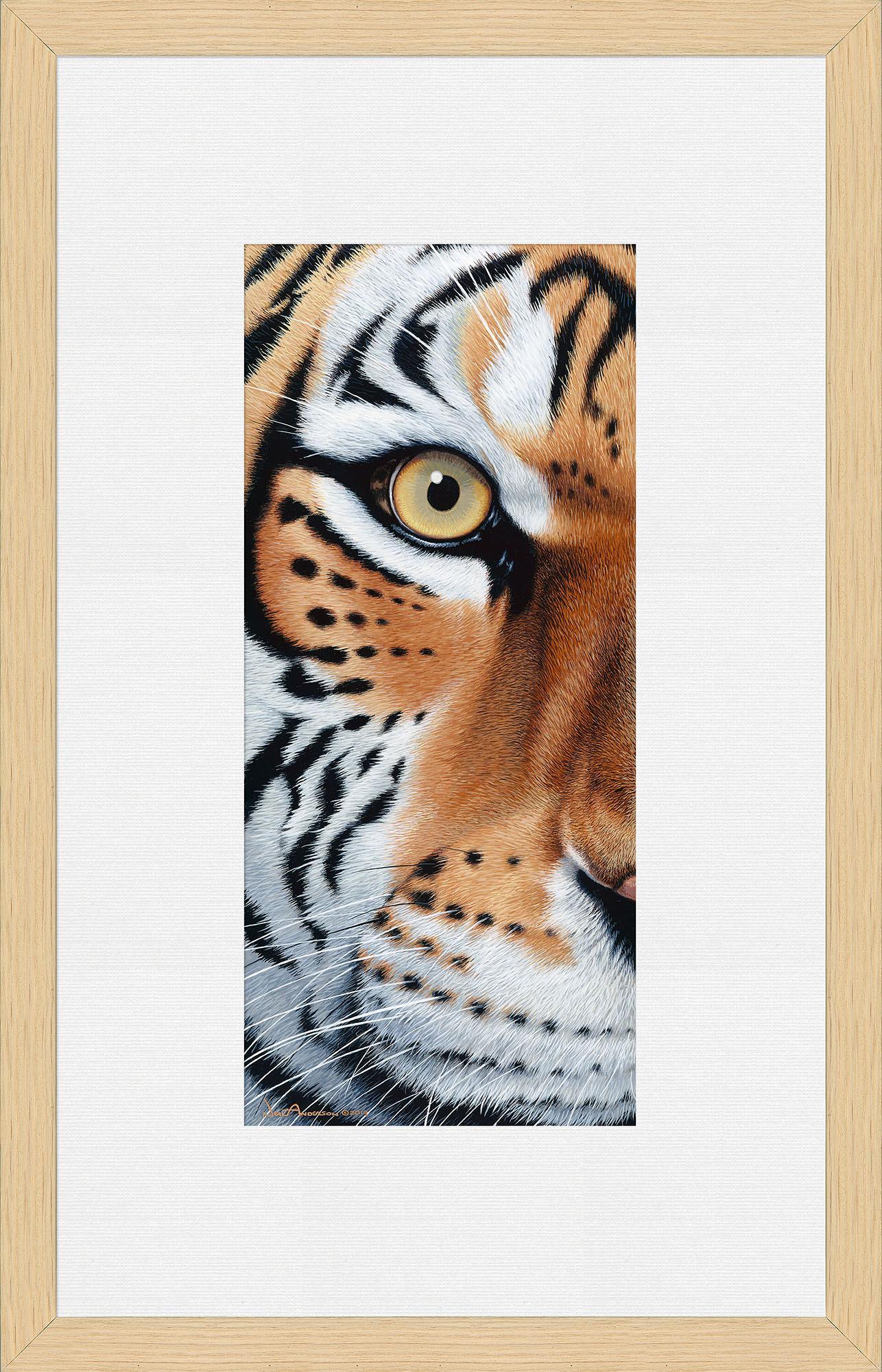 too-close-tiger-framed-print-F028689073O.jpg
