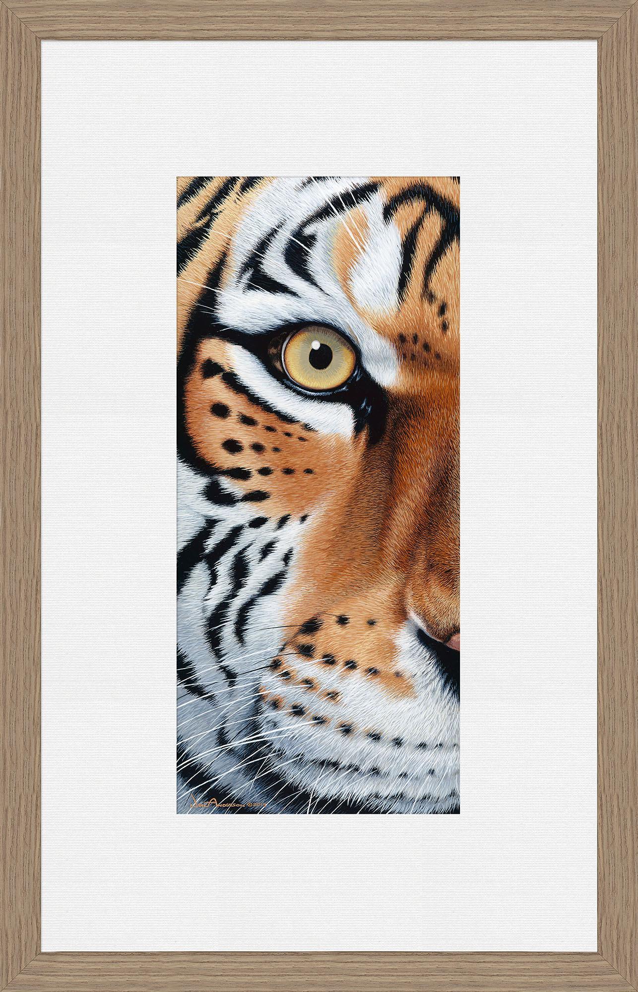 too-close-tiger-framed-print-F028689073W.jpg