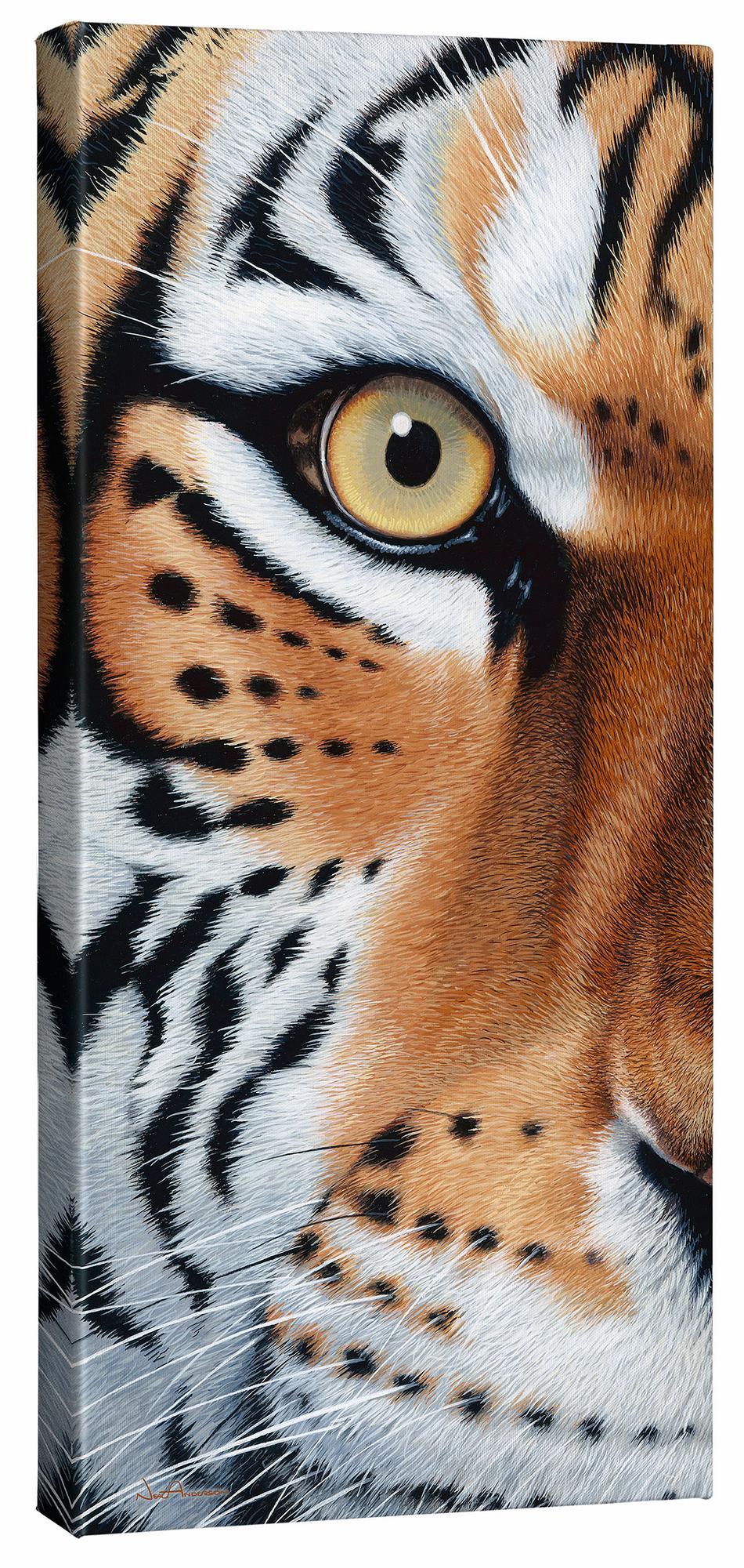 Too Close—Tiger - 26" x 12" Gallery Wrapped Canvas