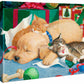 Too Much Fun—Puppy & Kittens - 11" x 14" Gallery Wrapped Canvas