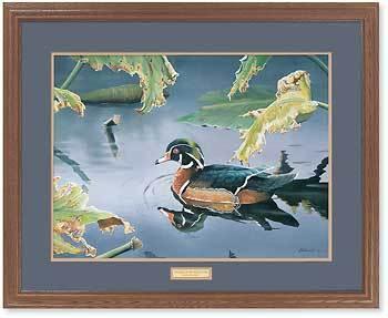 tranquil-pond-wood-duck-by-susan-bourdet-ELT1102005_6246d0a2-9d27-4919-b42e-03b2ca83d7a1.jpg