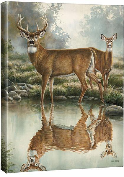 tranquil-waters-wtdwc3millette-F593744065CGW_87eec85b-e639-4451-95e0-31946b8dca53.jpg