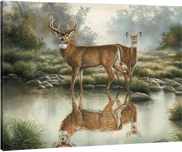 tranquil-waters-wtdwc8millette-F593744165CGW_9e7ec7e4-cbc9-48f6-9f1a-515b4ccd544c.jpg