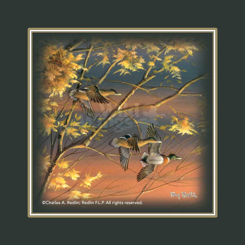 wake-up-call-mallards-small-art-print-by-terry-redlin-1701371901d.jpg