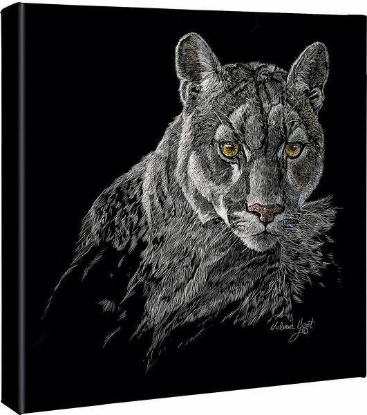 Watchful Eyes - Cougar - 14" x 14" Gallery Wrapped Canvas