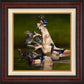 Framed birds in waters