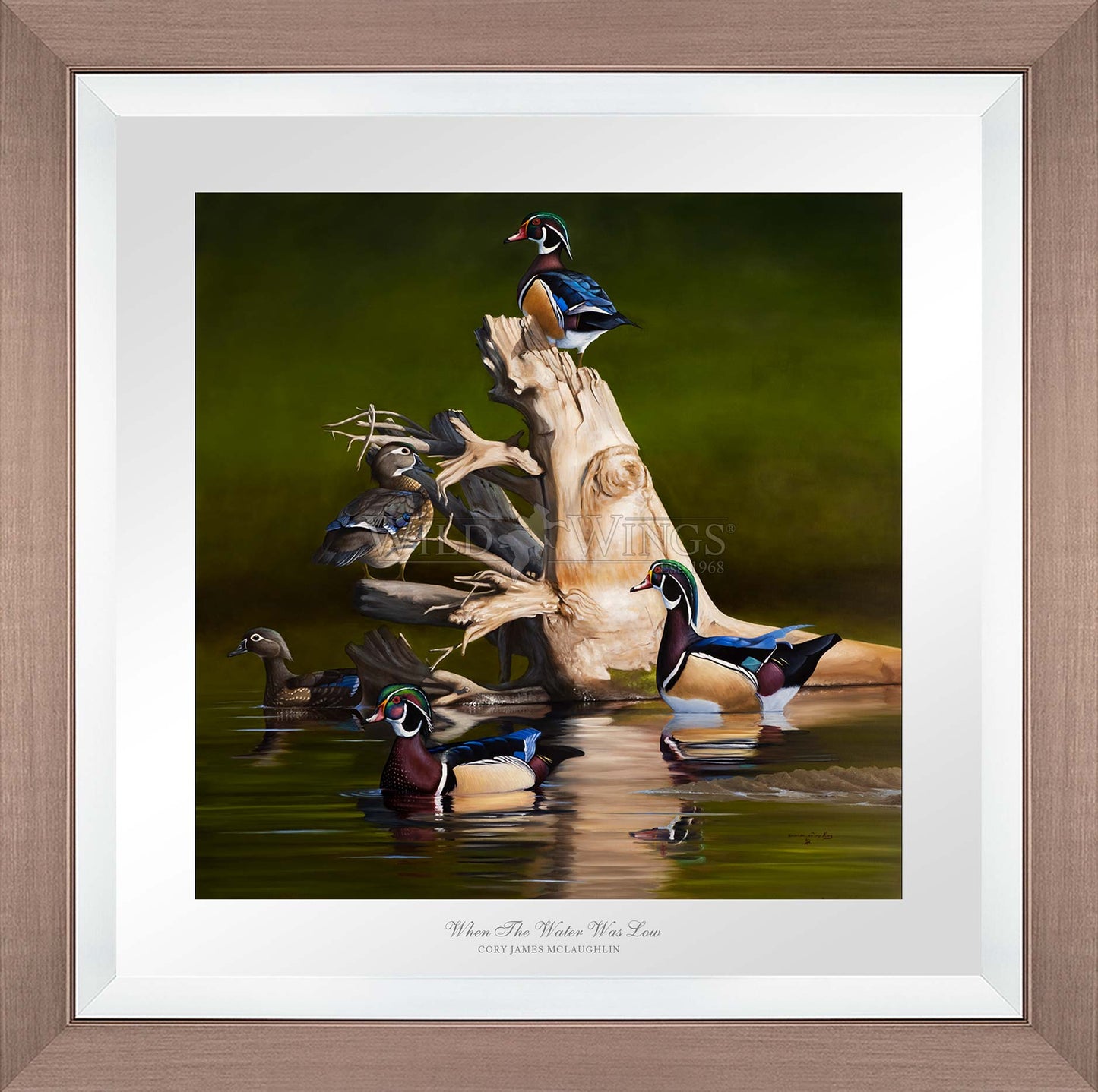 Framed birds in waters