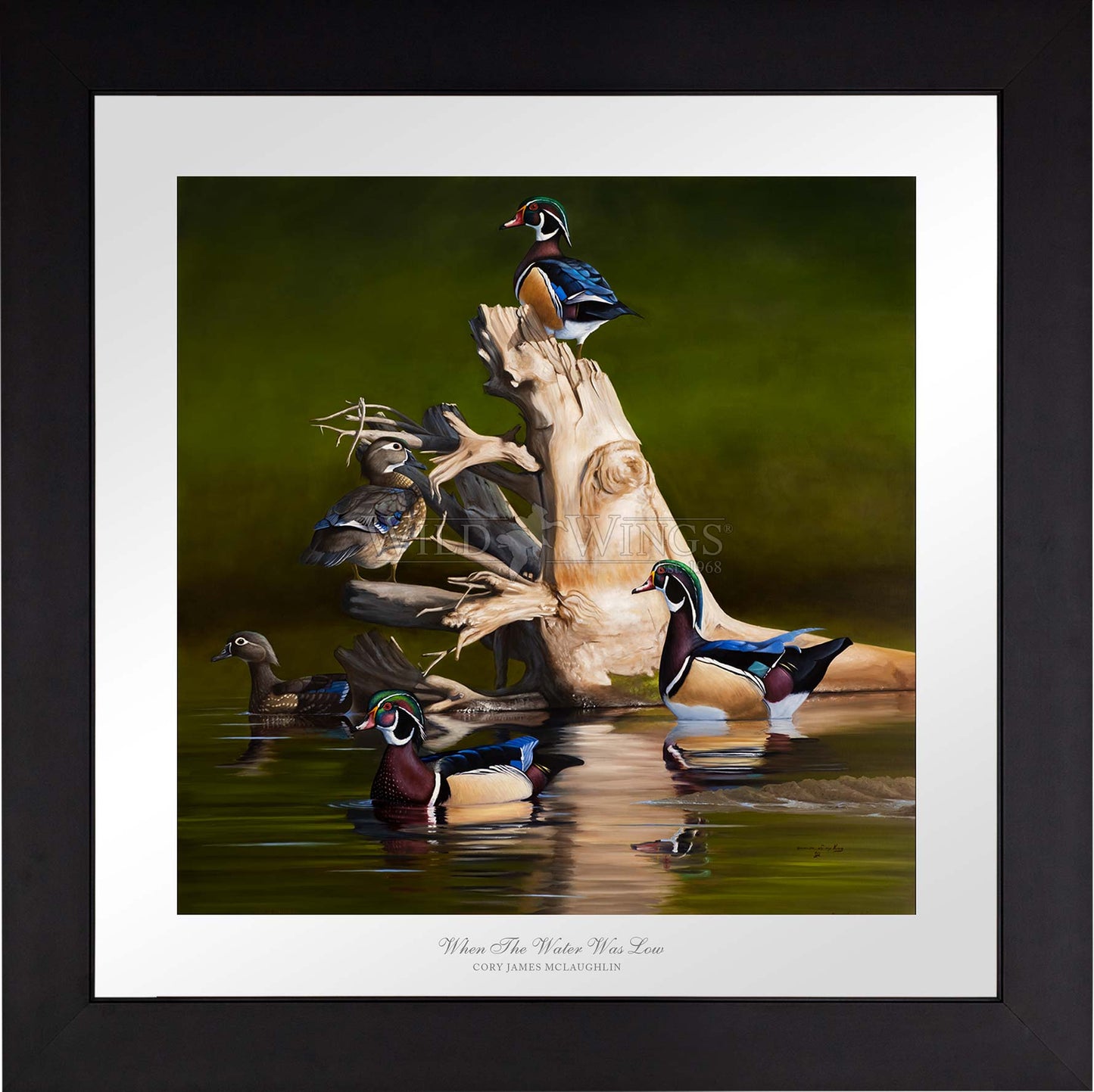 Framed birds in waters