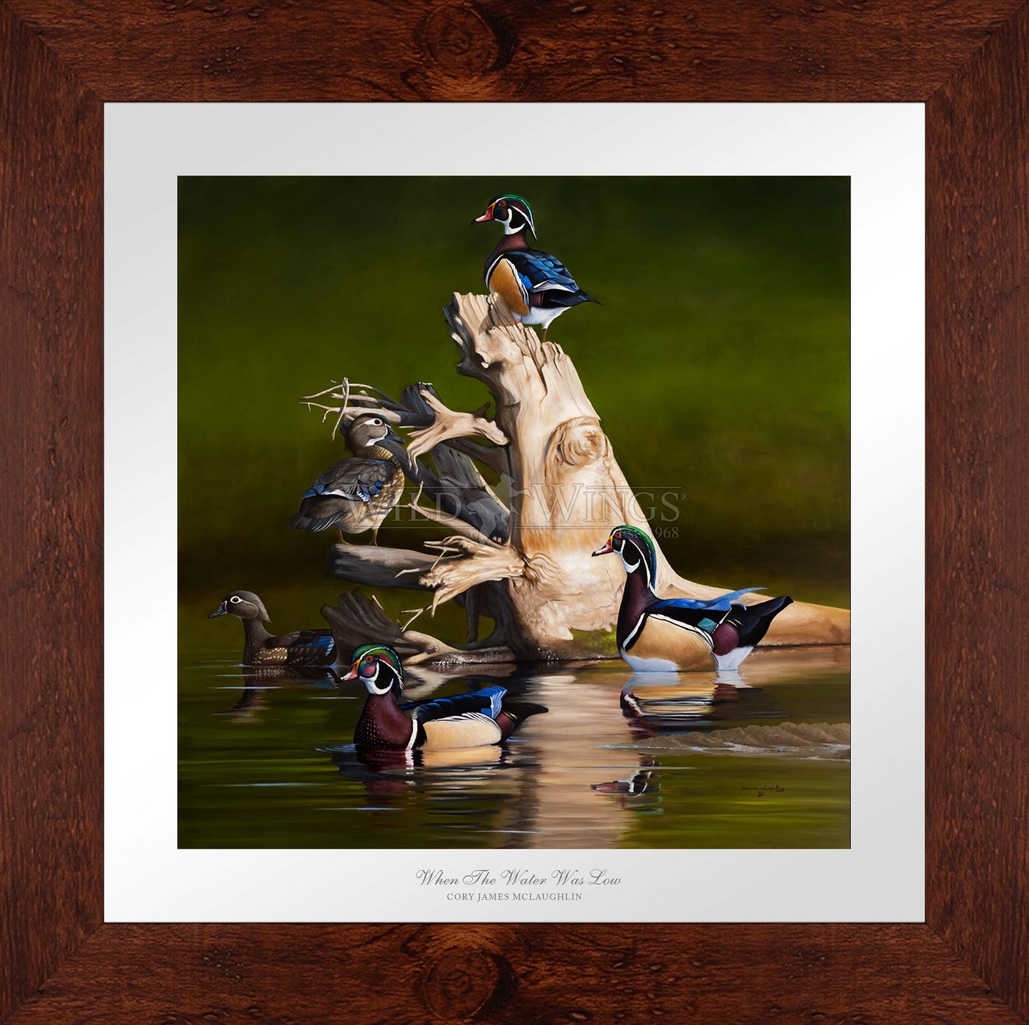 Framed birds in waters