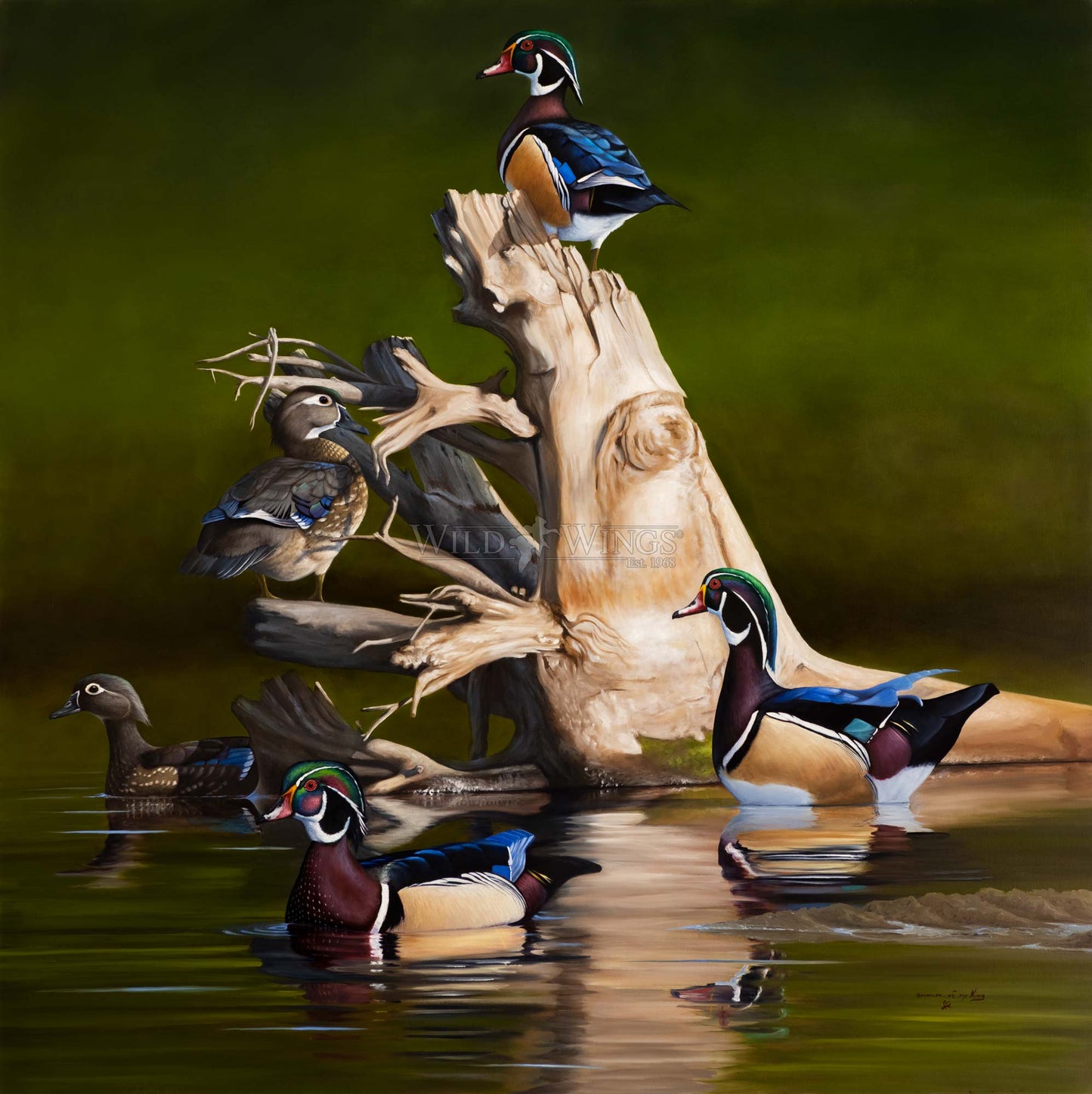 Birds in waters