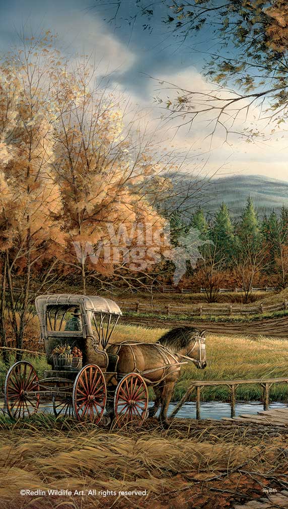wednesday-afternoon-art-print-by-terry-redlin-1701583589d.jpg