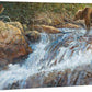 Wilderness Walk - Grizzly - 18" x 36" Gallery Wrapped Canvas