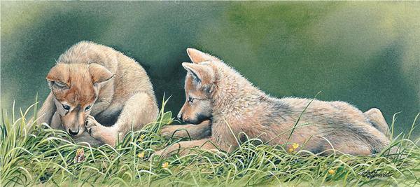 wolf-children-group-1085900071IG_fc4c0050-aa01-4e63-89e9-9567f378d666.jpg