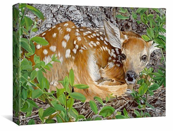Woodland Wonder—Fawn - 13" x 18" Gallery Wrapped Canvas