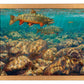 First to the Fly—Brook Trout