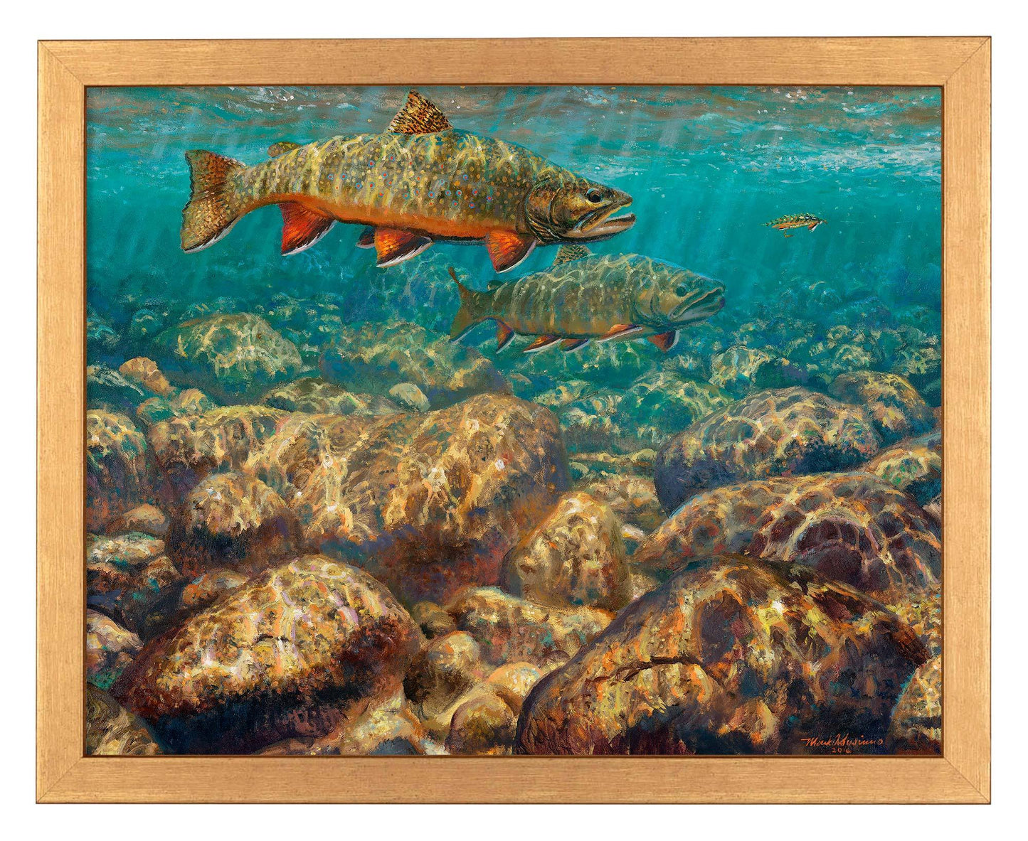 First to the Fly—Brook Trout