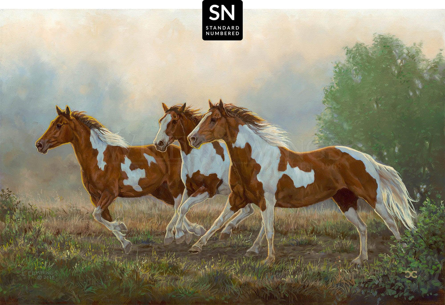 Misty Morning—Pintos; Standard Numbered Edition (SN)