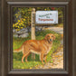 Life's a Ball—Golden Retriever Personalized Framed Canvas - Wild Wings