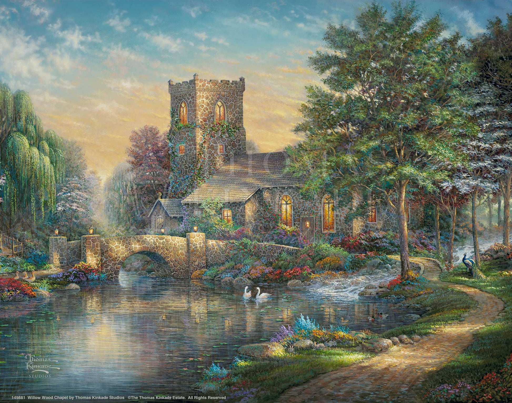 149881.jpg