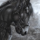 154556_StoutHeart_11x14_GFT.jpg