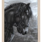 154559_StoutHeart_11x14_FRA_Natural.jpg