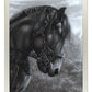 154560_StoutHeart_11x14_FRA_Silver.jpg