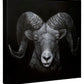 154853_Dominance_14x14_Mocked_CGW.jpg