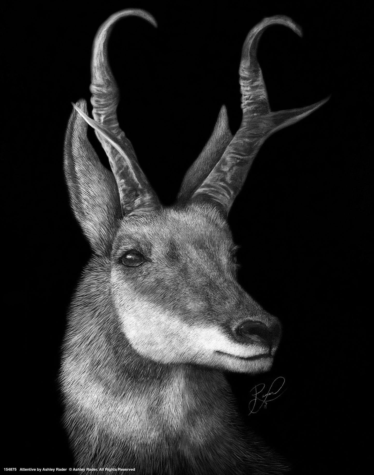 154875_Attentive_11x14_GFT.jpg