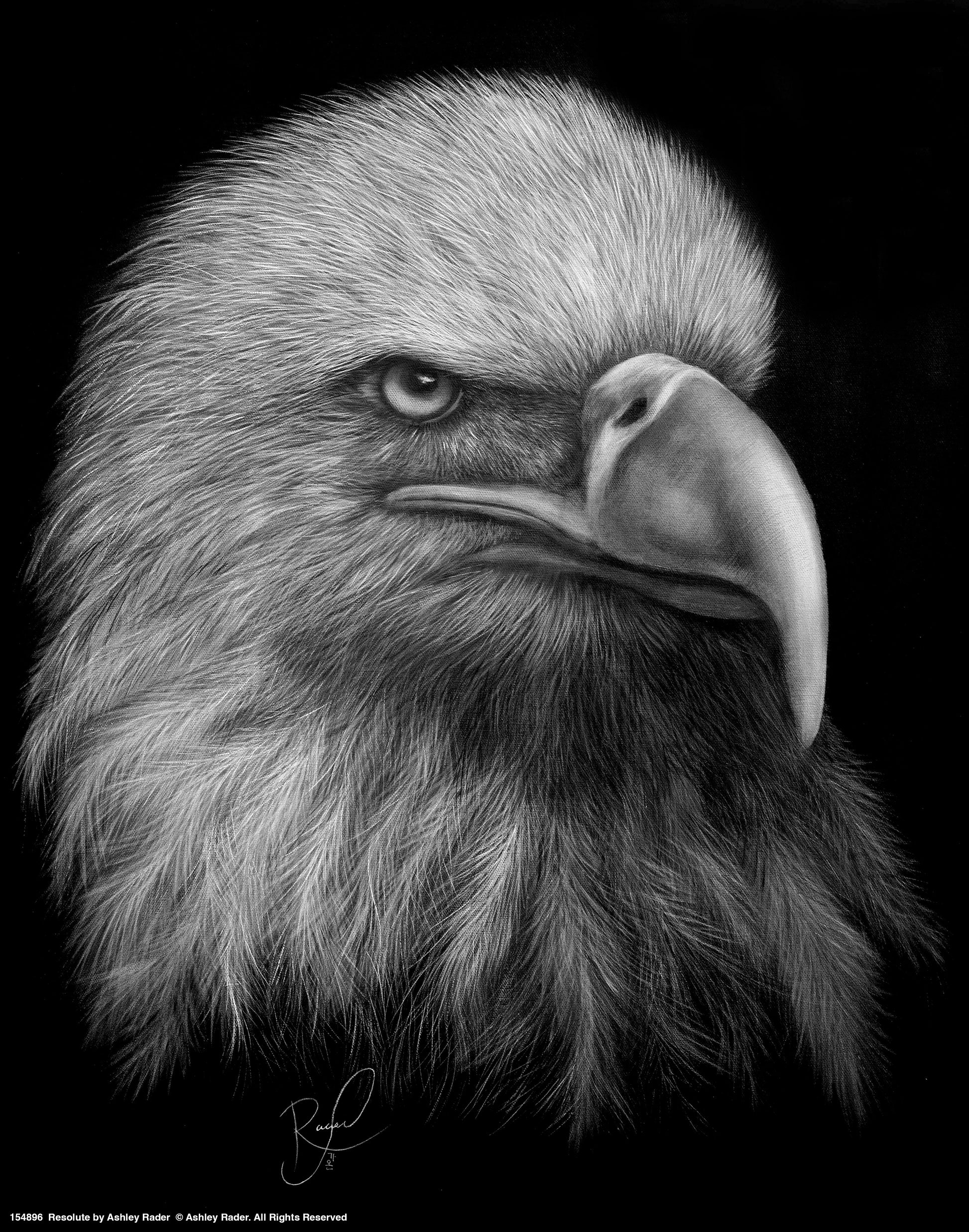 154896_Resolute_11x14_GFT.jpg