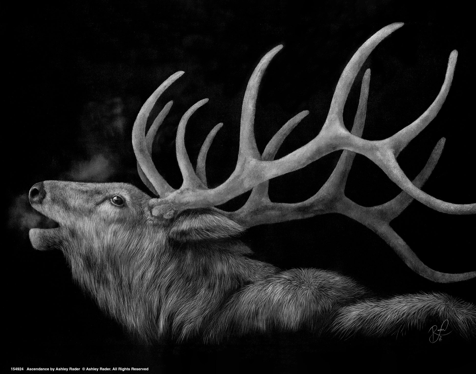 154924_Ascendance_11x14_GFT.jpg