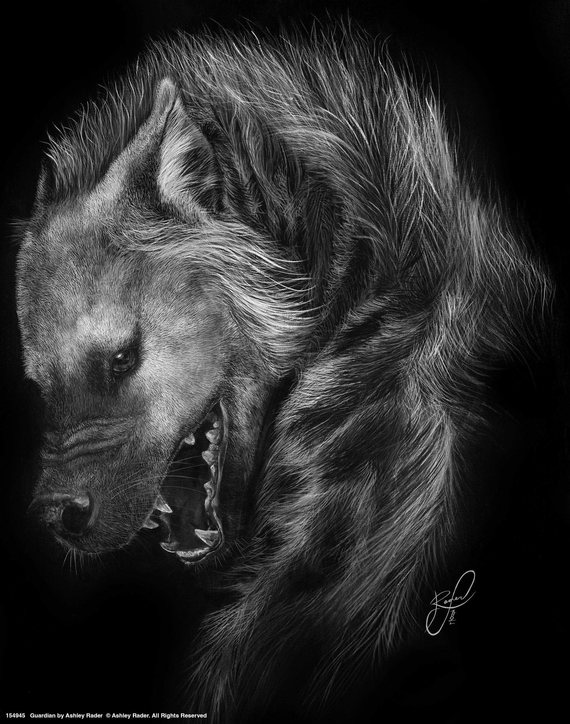 154945_Guardian_11x14_GFT.jpg