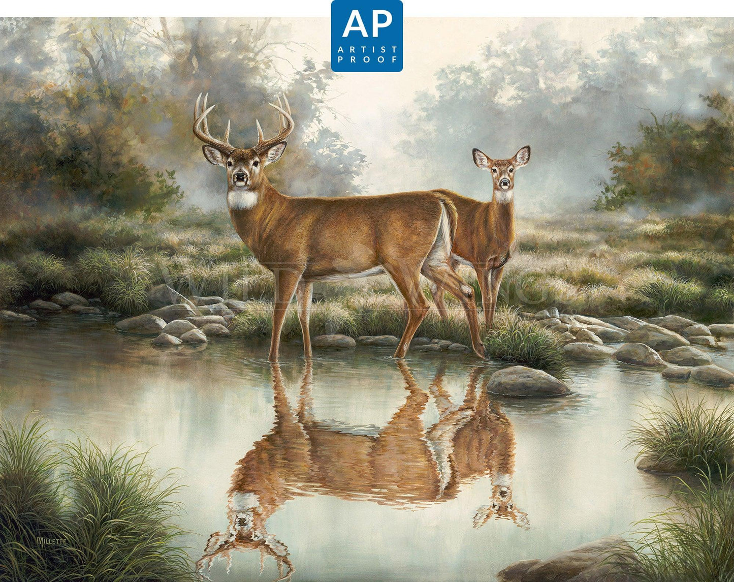 Tranquil Waters—Whitetail Deer; Artist Proof Edition (AP)