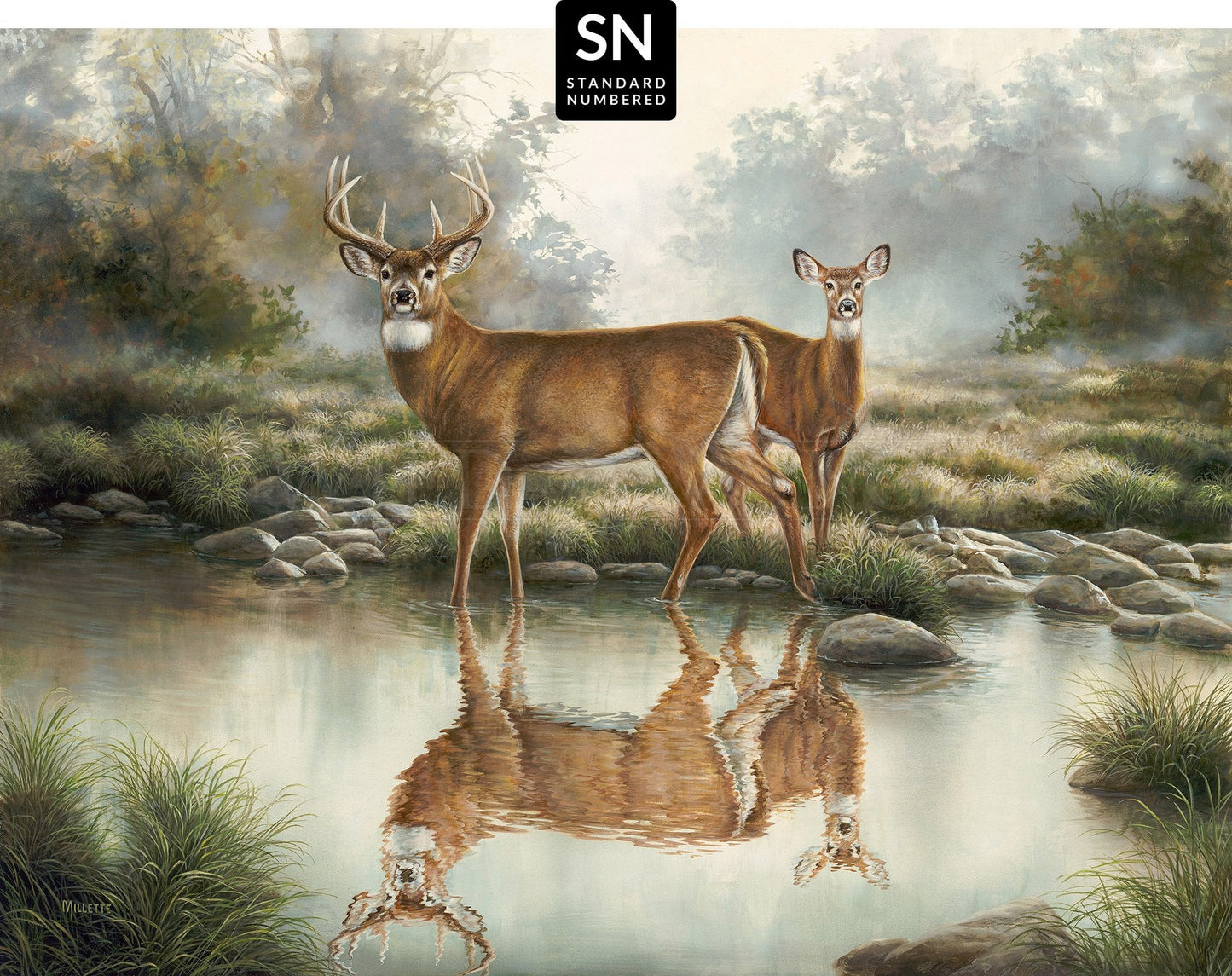 Tranquil Waters - Limited Edition Canvas
