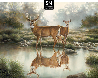 Tranquil Waters - Limited Edition Canvas
