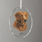Loyal Companion - Golden Retriever Oval Glass Ornament - Wild Wings
