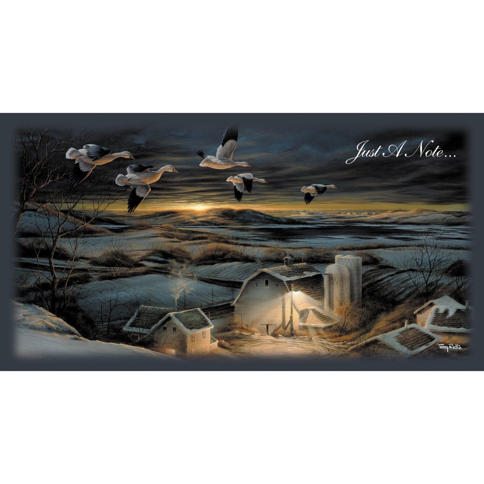 Night Light - Snow Goose Horizontal Note Cards - Wild Wings