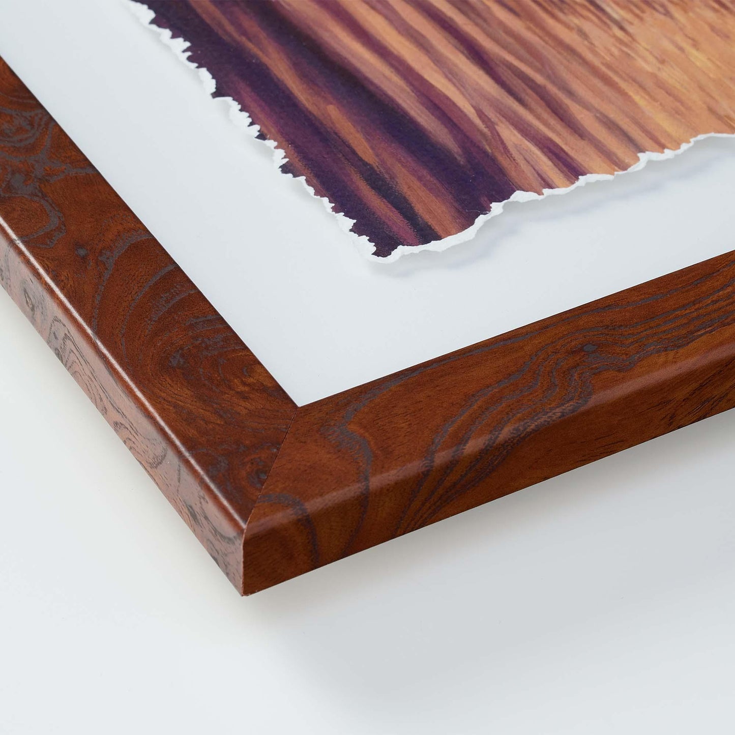 Ruby Throat & Fuschia Deckled Edge Paper Print - Wild Wings