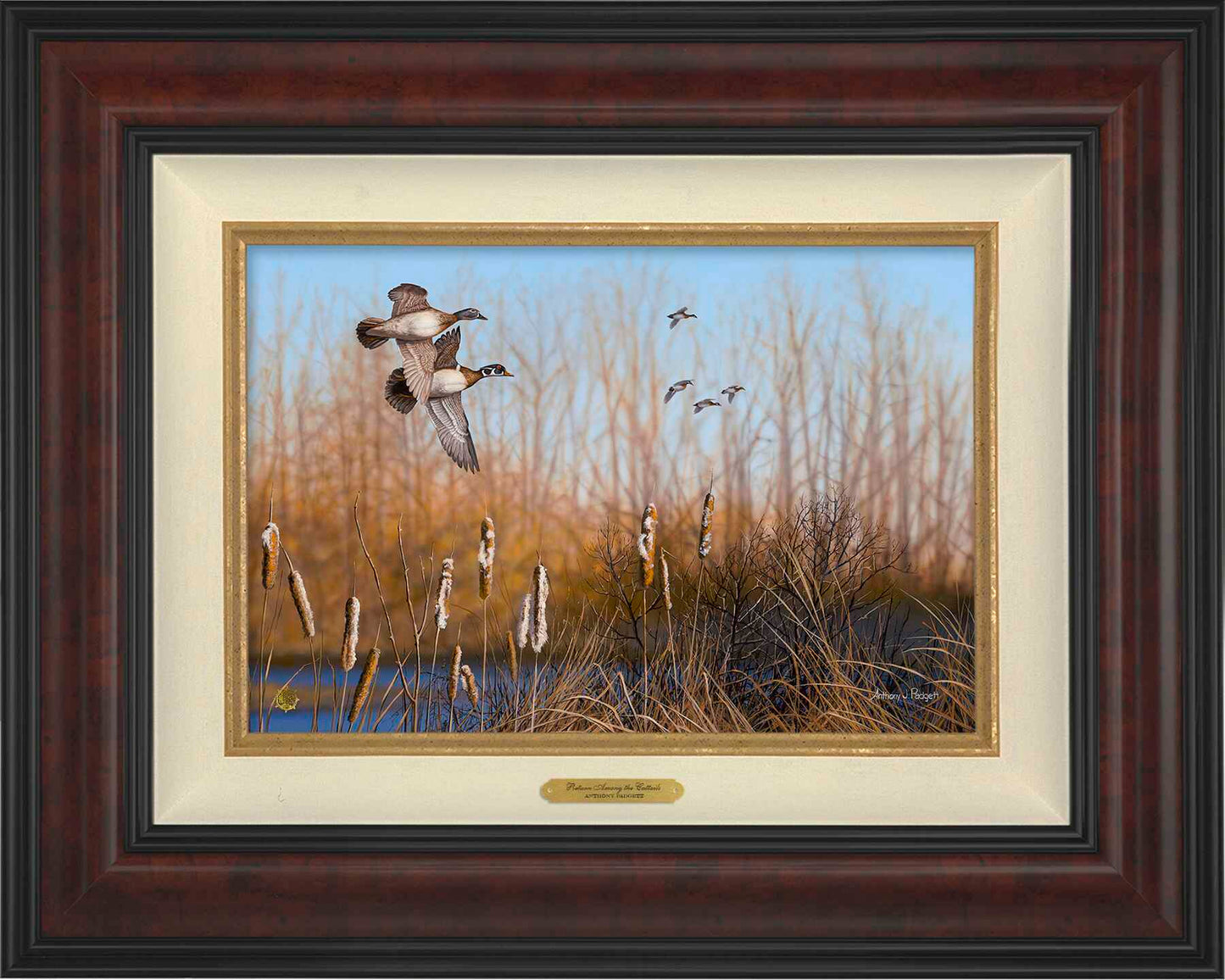 Return Among the Cattails—Wood Ducks; Standard Numbered Edition (SN)