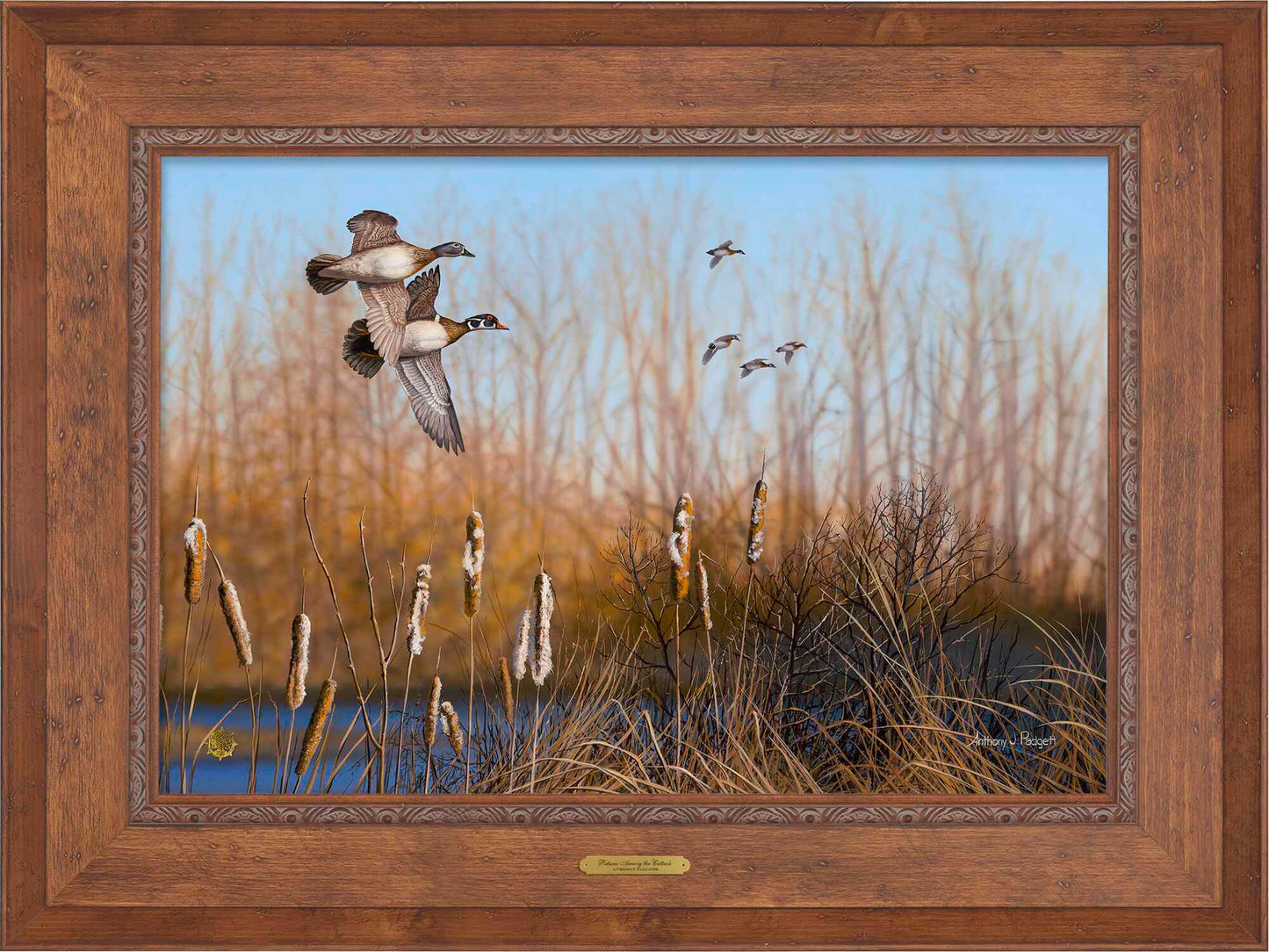 Return Among the Cattails—Wood Ducks; Standard Numbered Edition (SN)