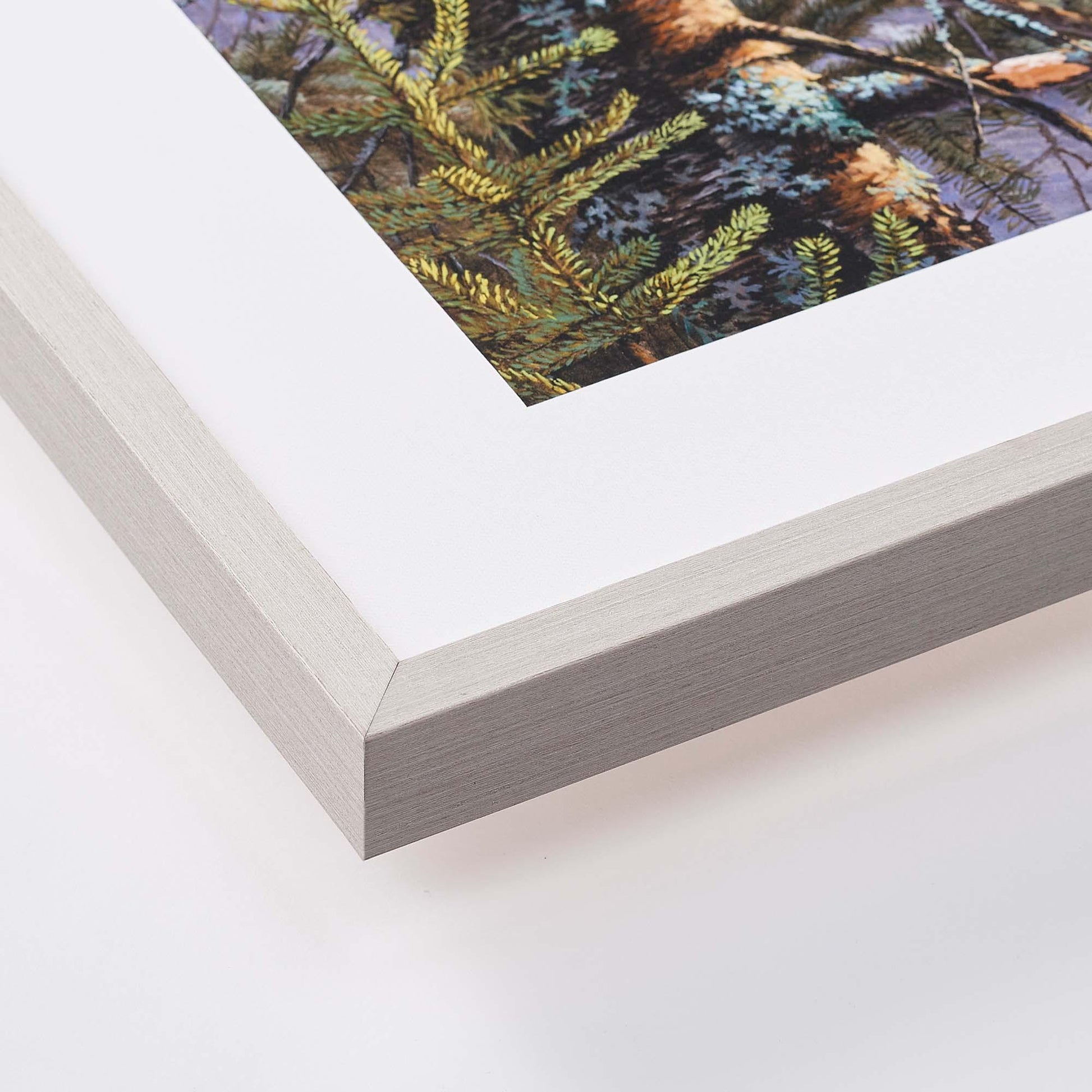 Boreal Twilight—Great Gray Owl Limited Edition Paper Print - Wild Wings