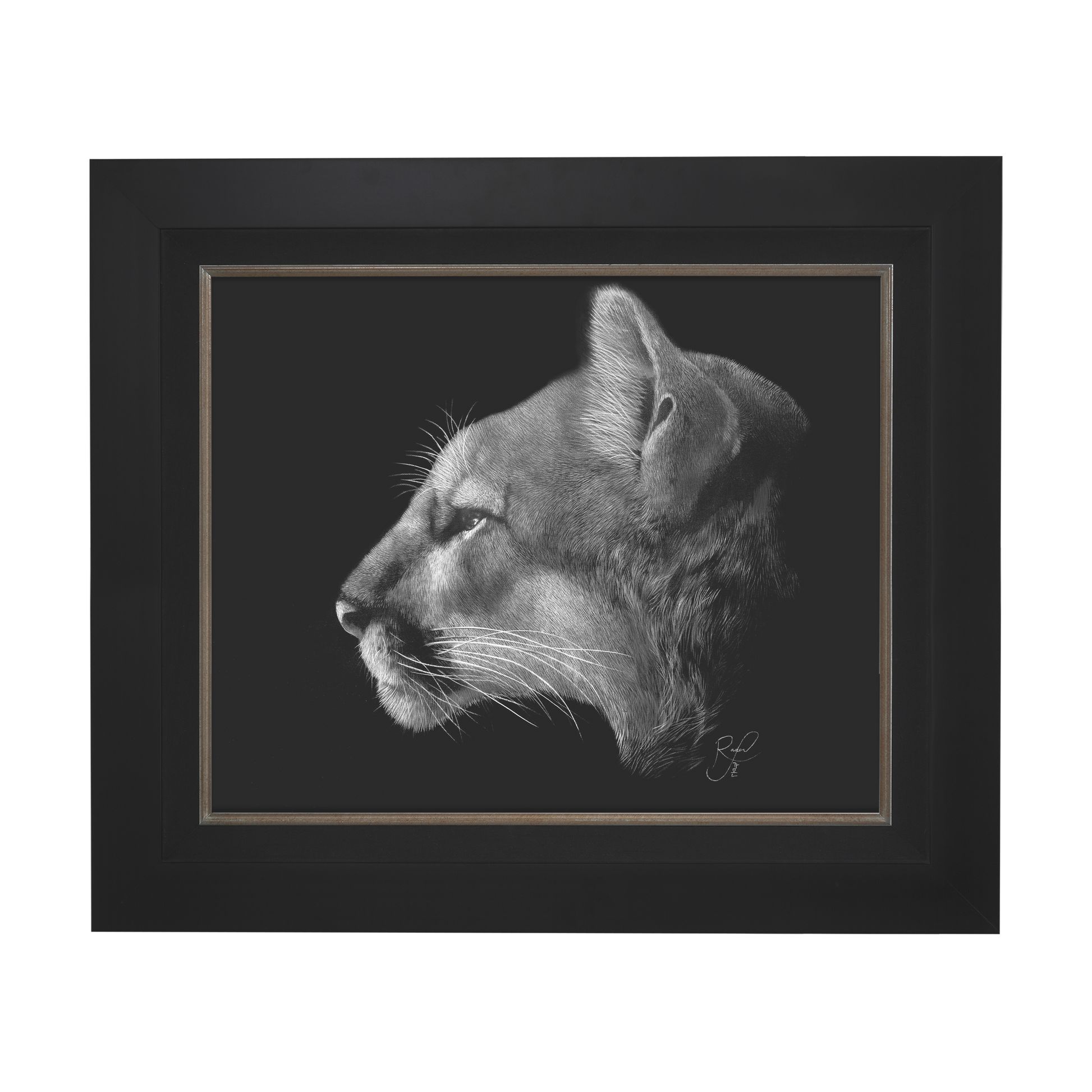 Venetorial-Cougar.png
