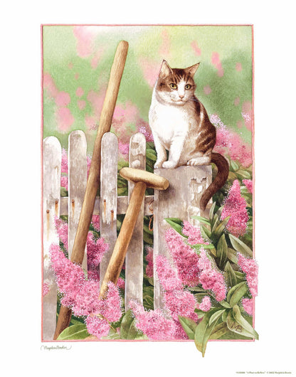 A Place to Reflect Art Print - Wild Wings