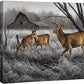 Abandoned Farmstead—Whitetail Deer Gallery Wrapped Canvas - Wild Wings