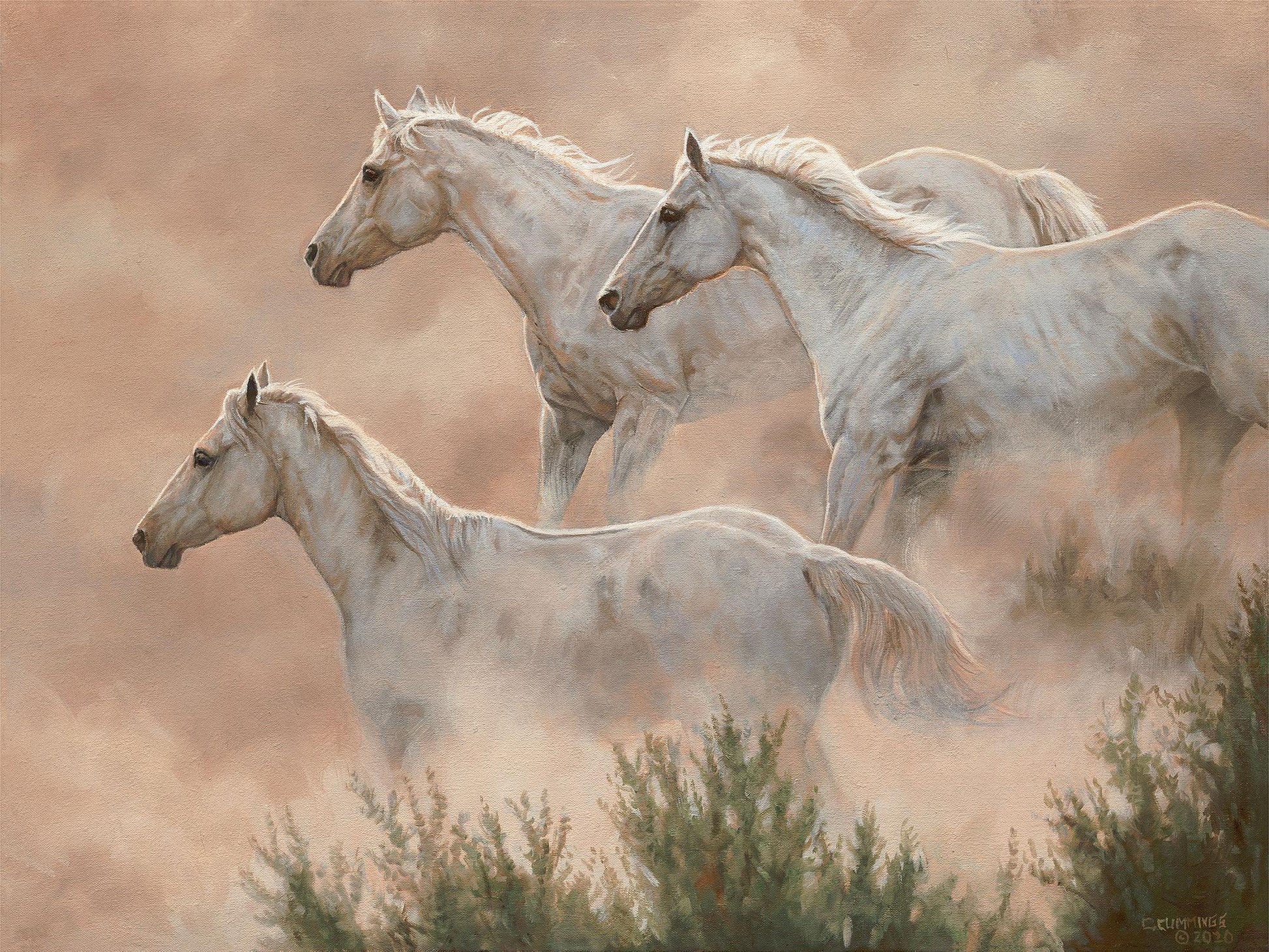 Above the Clouds Limited Edition Paper Print - Wild Wings